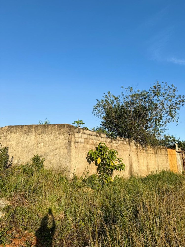 Lote - Venda - Novo Igarap� - Igarap� - MG