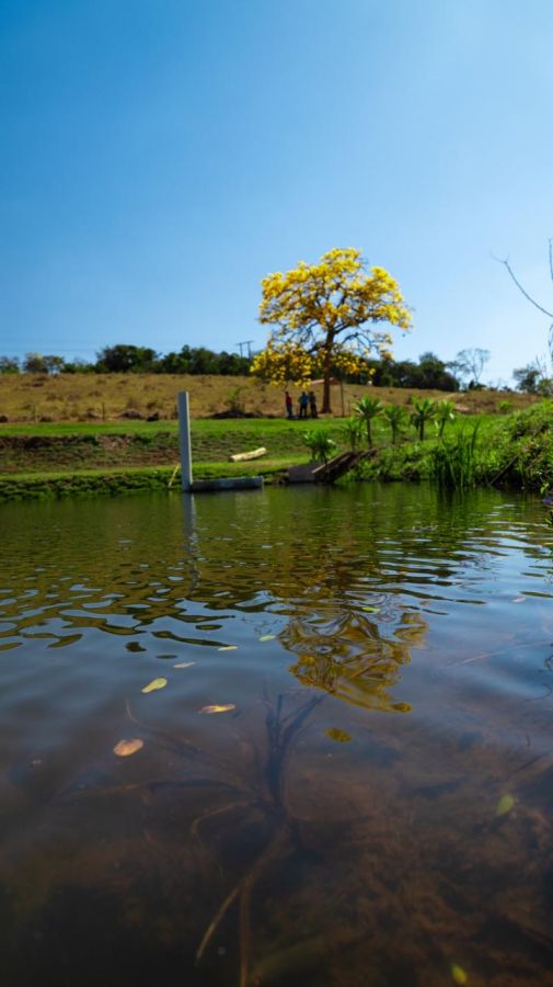 Lote - Venda - Fazenda Recanto do Lago - Rio Manso - MG