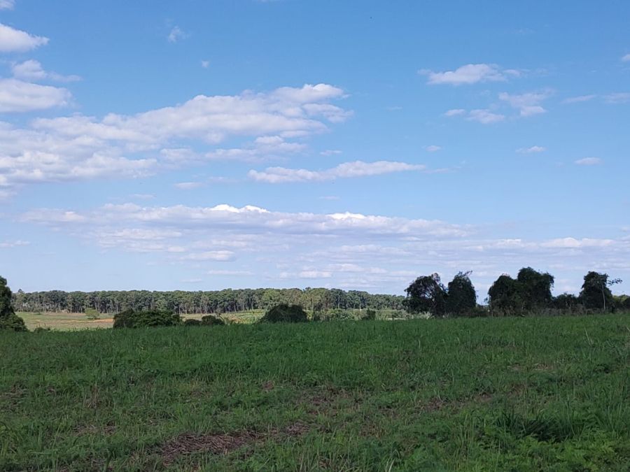 Lote - Venda - Rural - Mateus Leme - MG