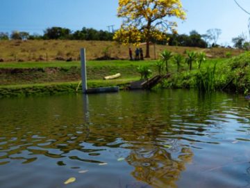 Lotes com agua no fundo ,1.000 m� Rio Manso Mg